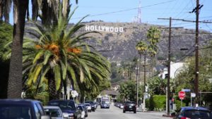 The Top Provider of Hollywood Movers